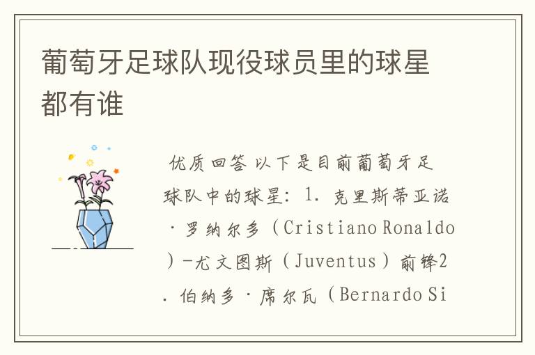 葡萄牙足球队现役球员里的球星都有谁