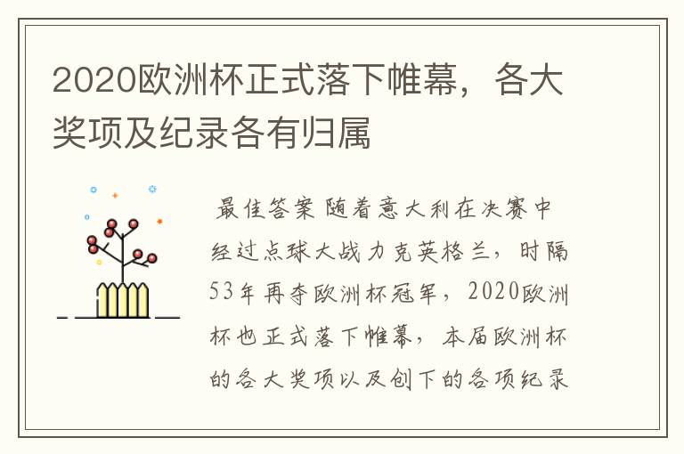 2020欧洲杯正式落下帷幕,各大奖项及纪录各有归属