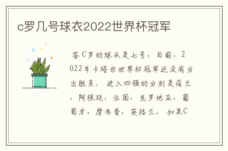 c罗几号球衣2022世界杯冠军