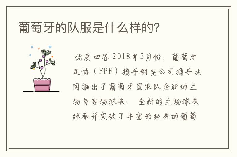 葡萄牙的队服是什么样的?