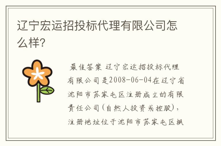 辽宁宏运招投标代理有限公司怎么样?