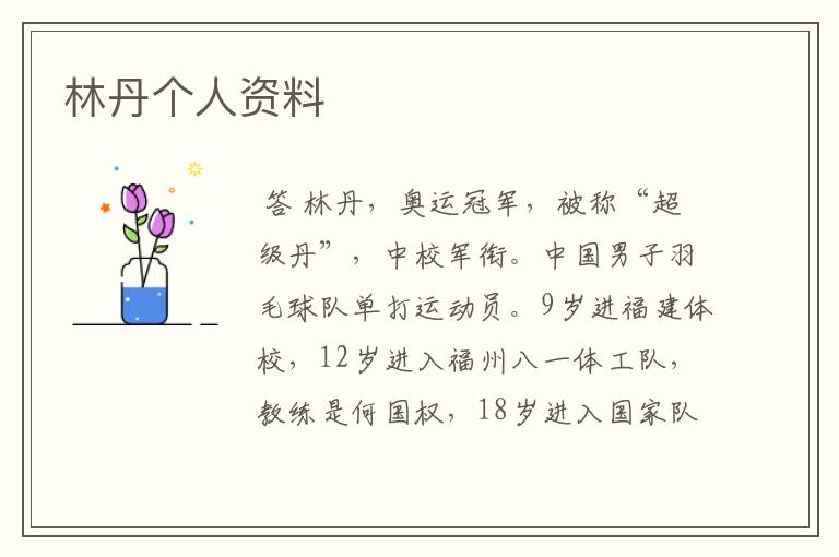 林丹个人资料