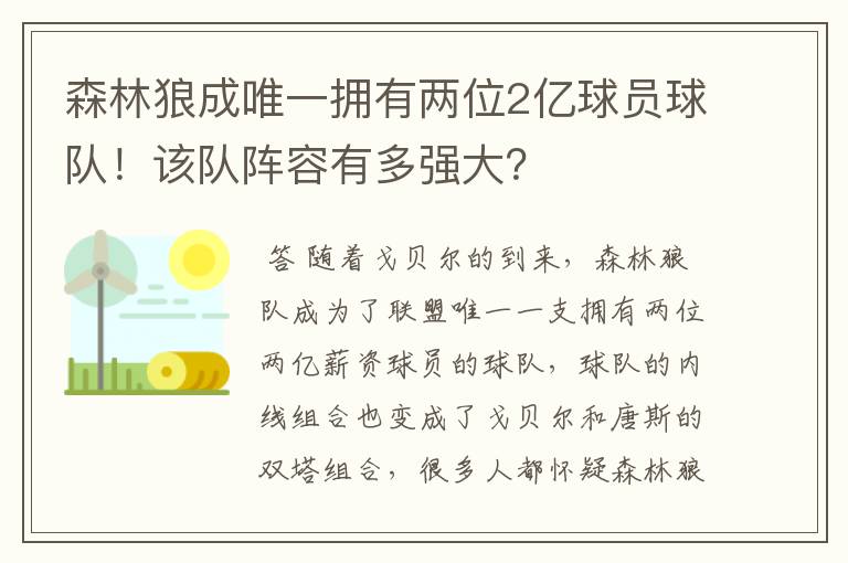 森林狼成唯一拥有两位2亿球员球队!该队阵容有多强大?