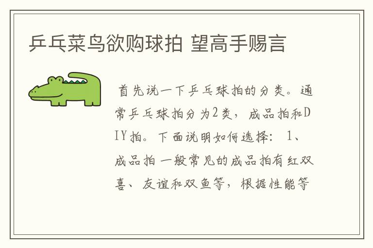 乒乓菜鸟欲购球拍 望高手赐言