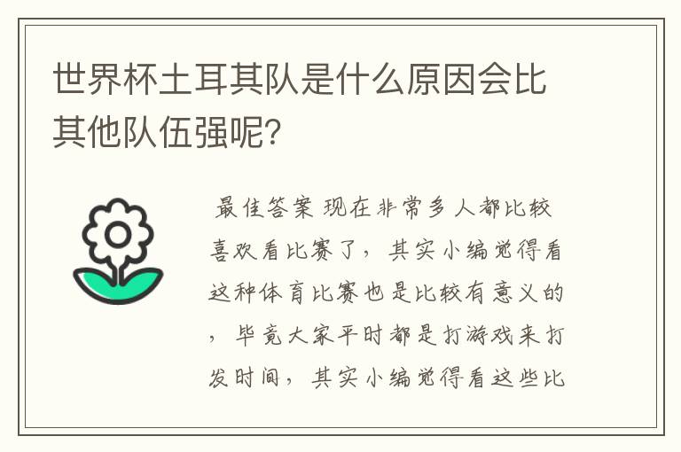 世界杯土耳其队是什么原因会比其他队伍强呢?