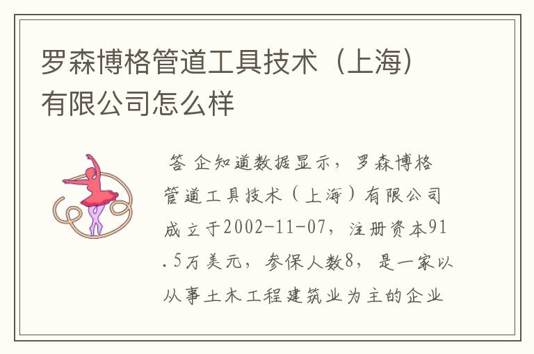 罗森博格管道工具技术(上海)有限公司怎么样