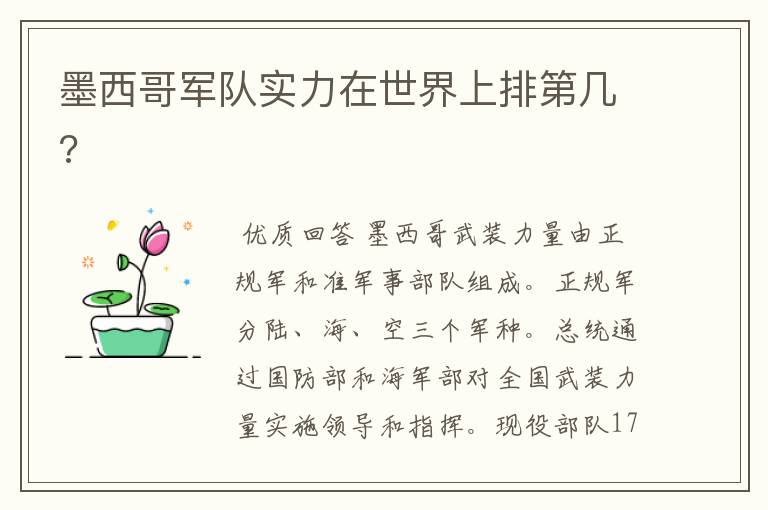 墨西哥军队实力在世界上排第几?