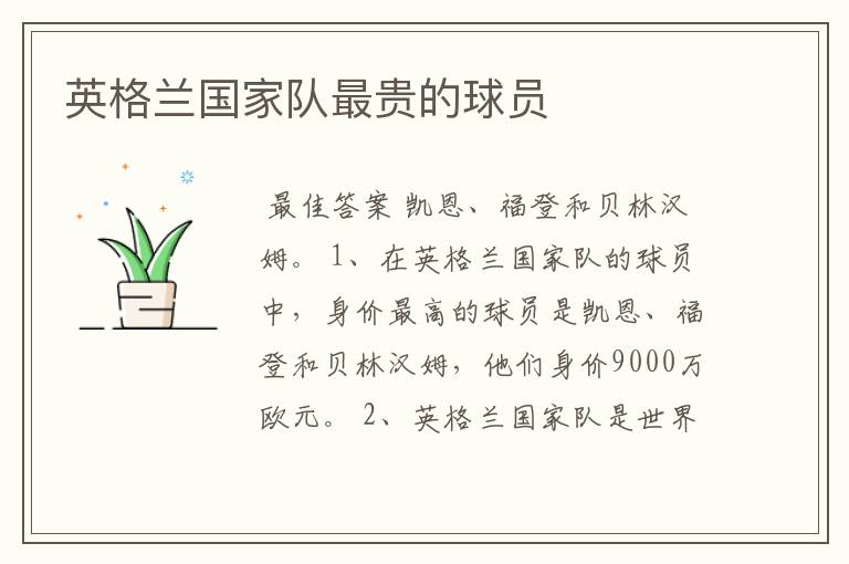 英格兰国家队最贵的球员