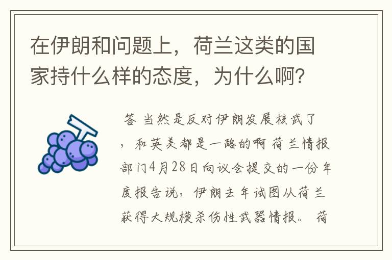 在伊朗和问题上,荷兰这类的国家持什么样的态度,为什么啊?