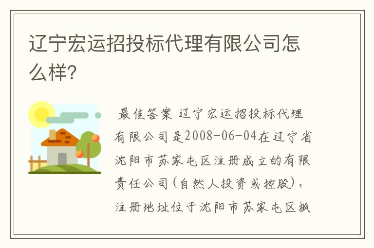 辽宁宏运招投标代理有限公司怎么样?