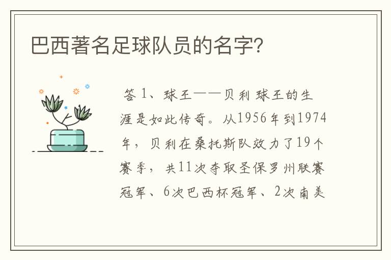 巴西著名足球队员的名字?