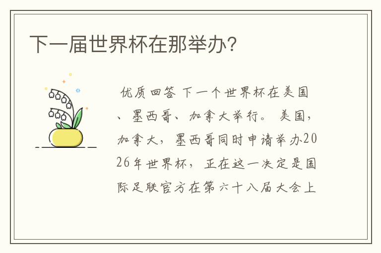 下一届世界杯在那举办?