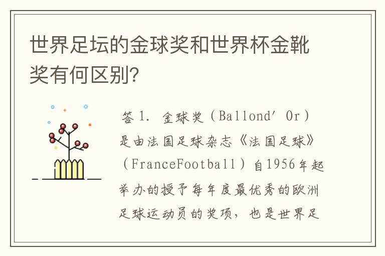 世界足坛的金球奖和世界杯金靴奖有何区别?