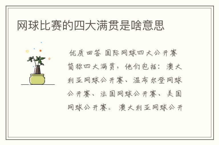 网球比赛的四大满贯是啥意思