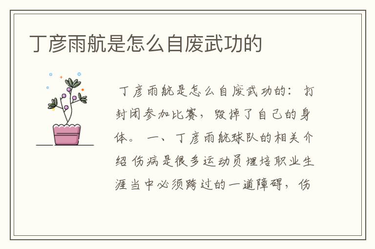 丁彦雨航是怎么自废武功的