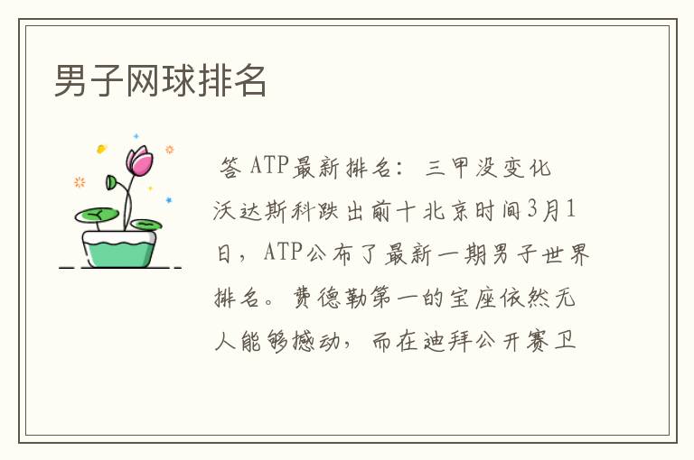 男子网球排名