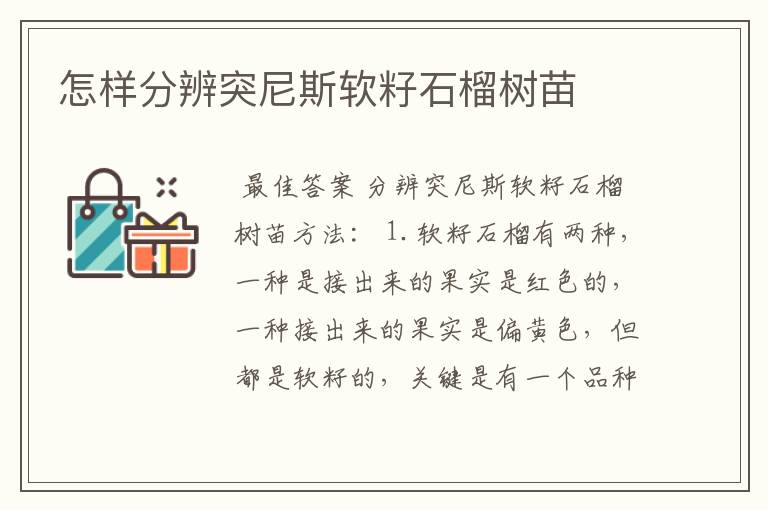 怎样分辨突尼斯软籽石榴树苗