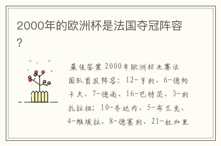 2000年的欧洲杯是法国夺冠阵容?