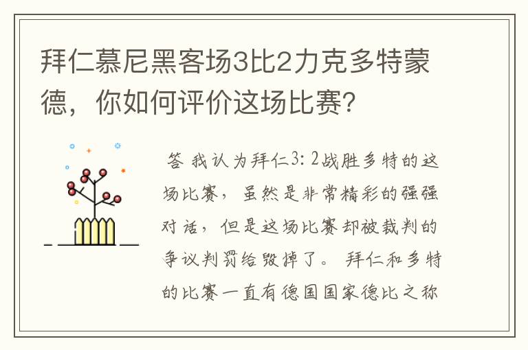 拜仁慕尼黑客场3比2力克多特蒙德,你如何评价这场比赛?