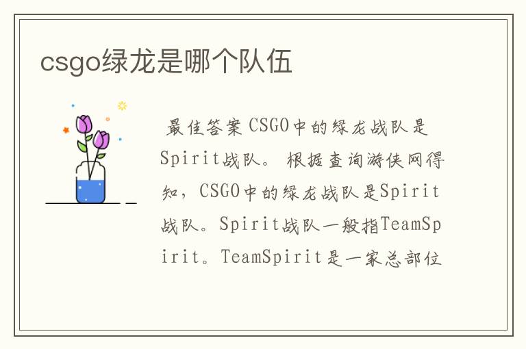 csgo绿龙是哪个队伍