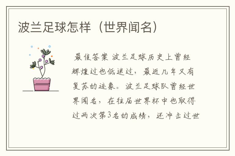 波兰足球怎样(世界闻名)
