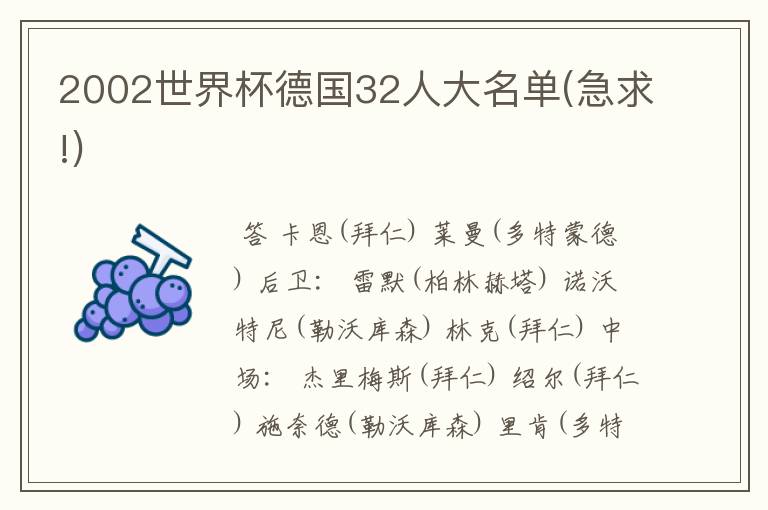 2002世界杯德国32人大名单(急求!)