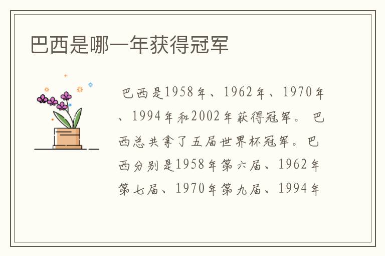 巴西是哪一年获得冠军