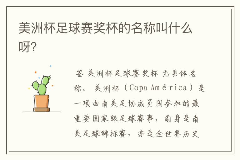 美洲杯足球赛奖杯的名称叫什么呀？