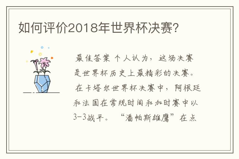 如何评价2018年世界杯决赛？