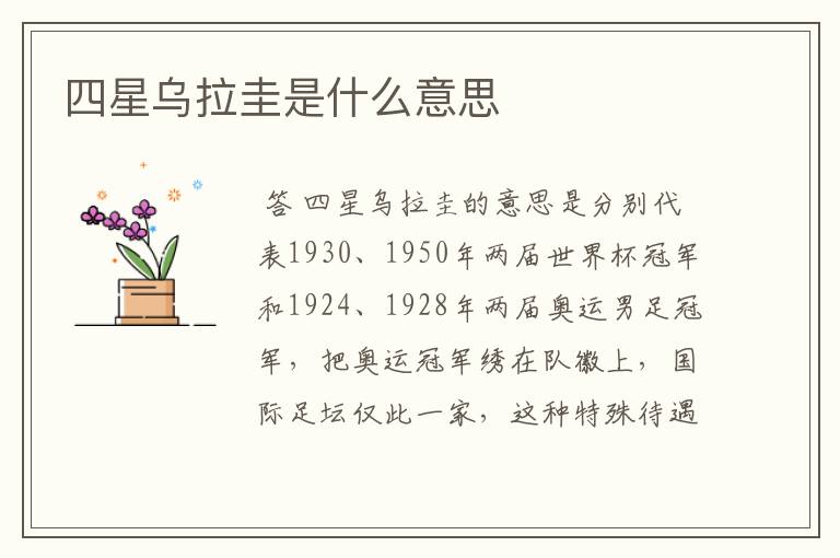 四星乌拉圭是什么意思