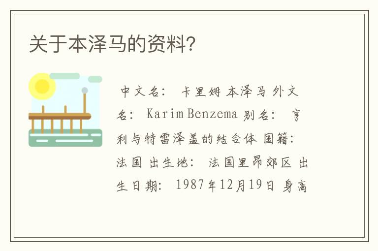 关于本泽马的资料?