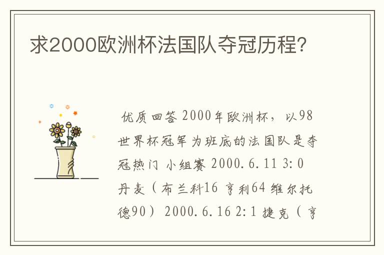 求2000欧洲杯法国队夺冠历程?