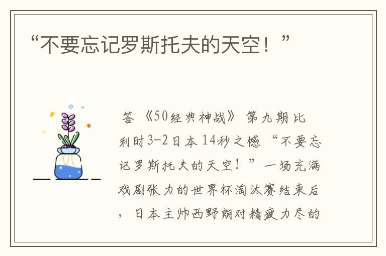 “不要忘记罗斯托夫的天空!”
