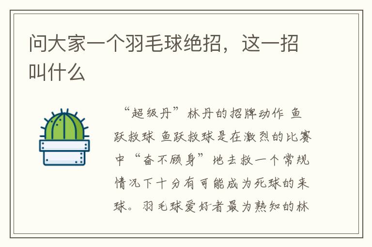 问大家一个羽毛球绝招,这一招叫什么