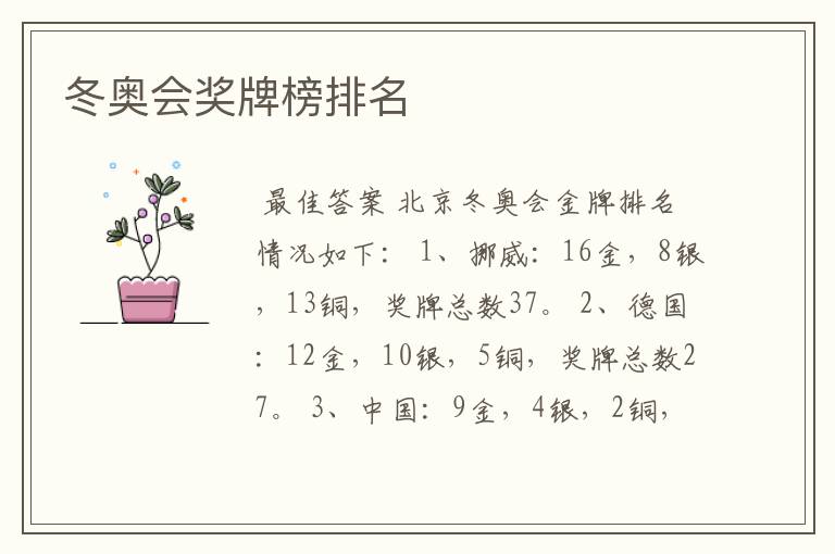 冬奥会奖牌榜排名