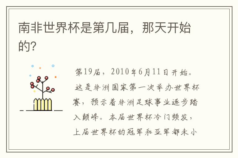 南非世界杯是第几届,那天开始的?