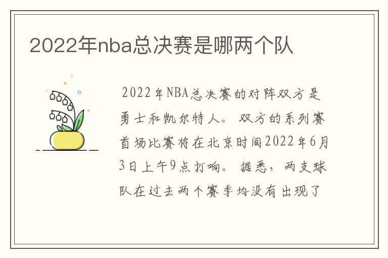 2022年nba总决赛是哪两个队