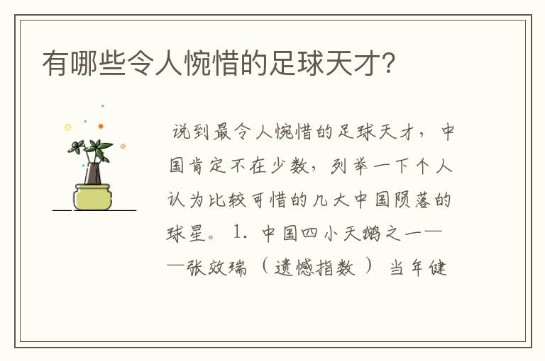 有哪些令人惋惜的足球天才?