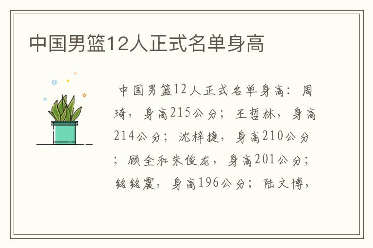 中国男篮12人正式名单身高