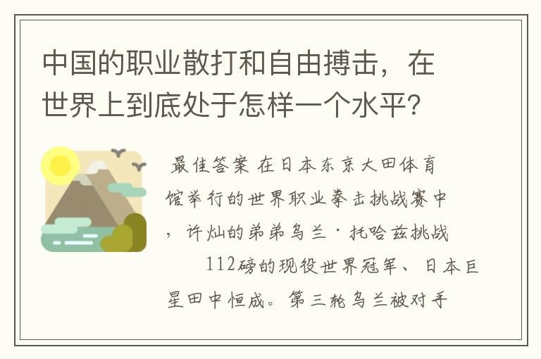 中国的职业散打和自由搏击,在世界上到底处于怎样一个水平?