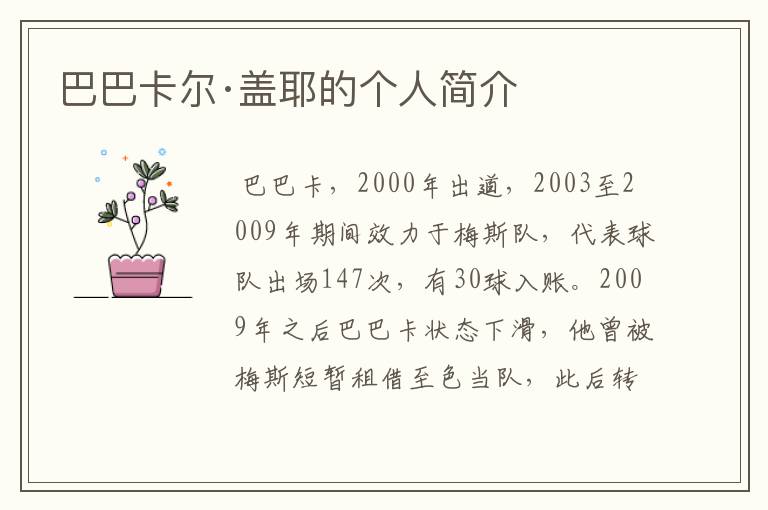 巴巴卡尔·盖耶的个人简介