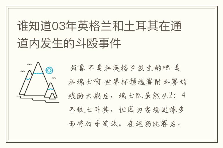 谁知道03年英格兰和土耳其在通道内发生的斗殴事件