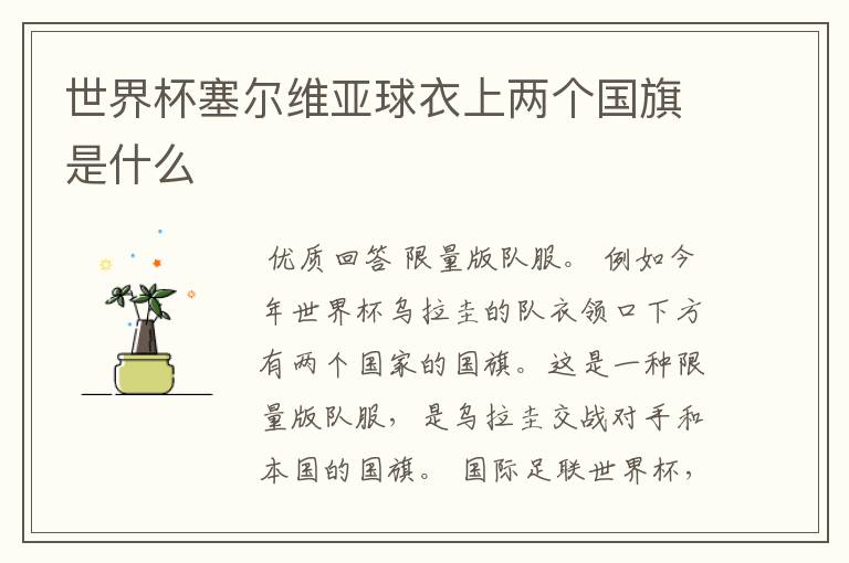 世界杯塞尔维亚球衣上两个国旗是什么