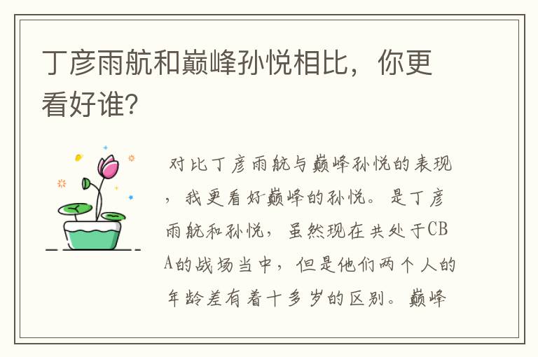 丁彦雨航和巅峰孙悦相比,你更看好谁?