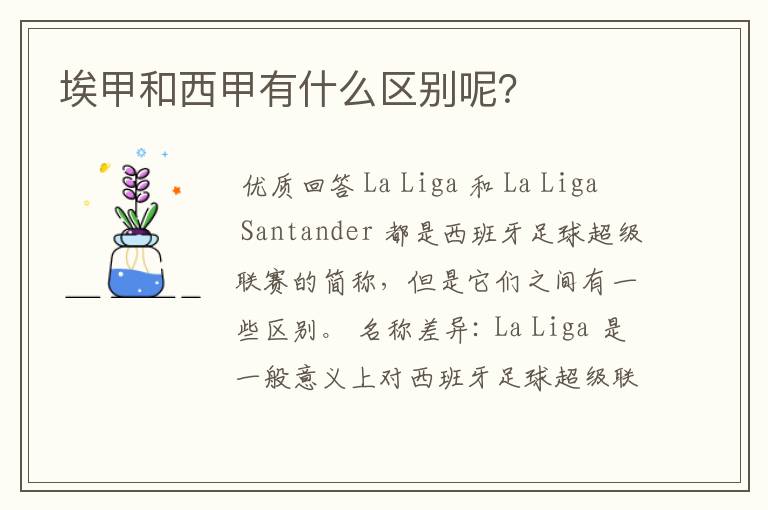 埃甲和西甲有什么区别呢?