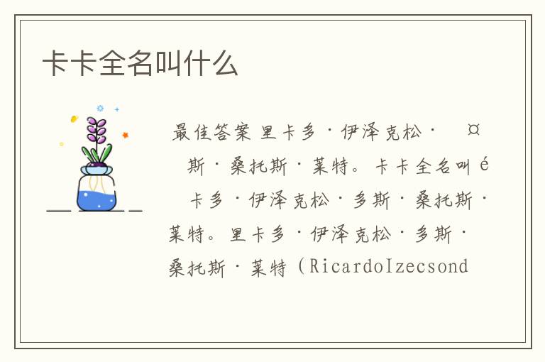 卡卡全名叫什么