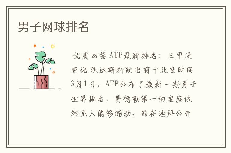 男子网球排名