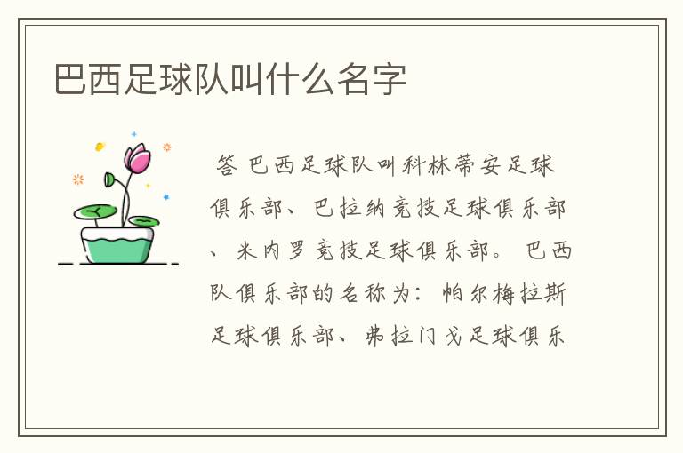 巴西足球队叫什么名字