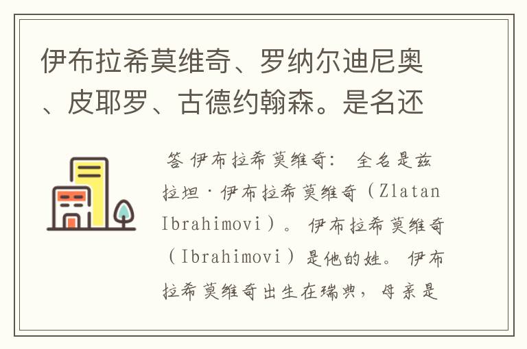 伊布拉希莫维奇、罗纳尔迪尼奥、皮耶罗、古德约翰森。是名还是姓?