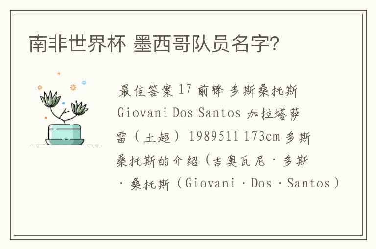 南非世界杯 墨西哥队员名字?